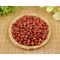 Groundnut Seeds Peanut Or Cashew Manufactory